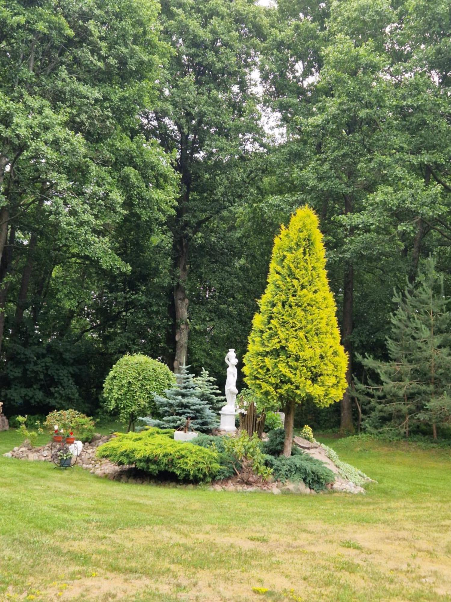 Villa Rasos Kiemelis à Palanga Extérieur photo